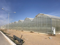 Serre en film multi-spans sur mesure, serre agricole commerciale en plastique, fournisseur direct d'usine