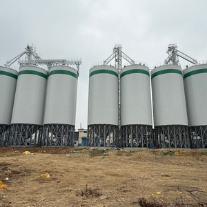 Professional SolisFer Ltd 1000 Tons Hot-dip Galvanized Steel Grain Storage Silo Maize Wheat Paddy Rice Ventilation System Henan - Product Image 1