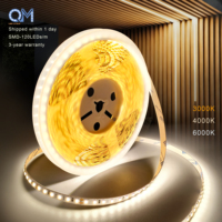 Bande lumineuse LED QM au prix d'usine, 120 LED, CE, RoHS, 5 m, 10 m, ruban flexible, 12 V, 24 V, bandes lumineuses LED SMD