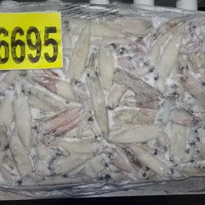 حبار كاليفورنيا المجمد - Product Image 1