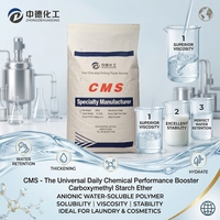 Vente chaude d'amidon de carboxyméthyle de sodium CAS 9063-38-1, poudre d'amidon de carboxyméthyle de sodium CMS