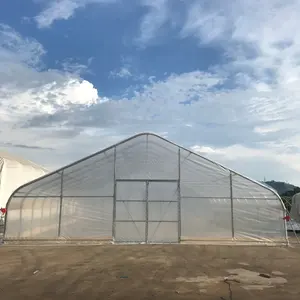 カナダTMG25ftx100ft温室ルーム栽培テント