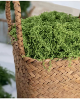 Mur de mousse artificielle en gros, jardin paysager, herbe verte, plante pour jardin, mariage, arrangements floraux, décoration de remise de diplôme