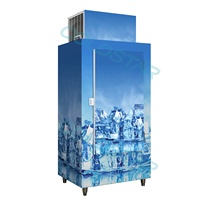 Congélateur de présentation de glace d'extérieur en vente chaude d'usine, porte vitrée, machine de conservation de glace ensachée, bac de stockage de glace, congélateur