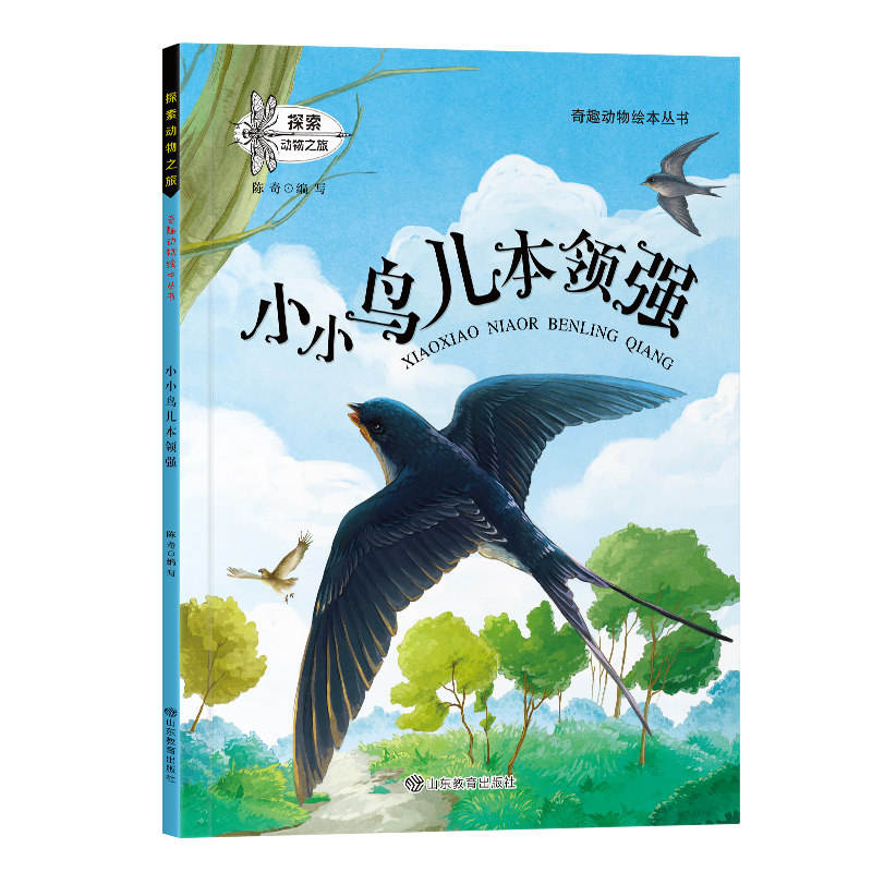 Petits oiseaux, grandes compétences.