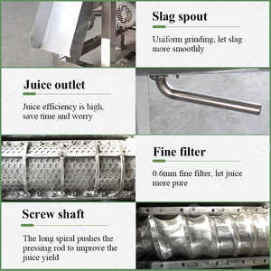 <strong>Small</strong> <strong>Juicer</strong> Make Pineapple Press Tomato Mango Extract Pulp Pulper Coconut Milk Fruit Juice Extractor Machine - Product Image 4