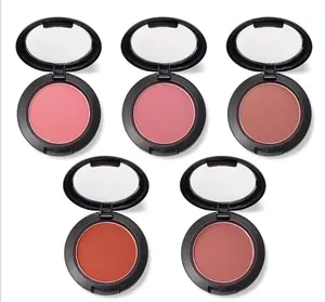 Blush de pó prensado oem para marca privada, 5 cores