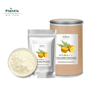 High Quality Freezed Dried <strong>Bromelain</strong> Pineapple Fruit Extract 100,000 U/g <strong>Bromelain</strong> <strong>Enzyme</strong> Powder - Product Image 3