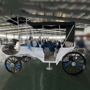 Carruaje de Cenicienta de Estilo Clásico Simple, Eléctrico o con Caballos, Ideal para Alquileres de Bodas y Lugares de Entretenimiento - Product Image 3