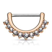 Bijoux gemmes titane Daith Clicker bijoux barre Septum anneaux nez Clicker Body Piercing bijoux