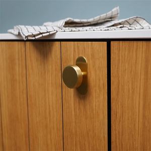 Poignées <span class=keywords><strong>de</strong></span> tiroir <span class=keywords><strong>de</strong></span> placard modernes circulaires rectangulaires ovales, boutons, plaques arrière - Product Image 4