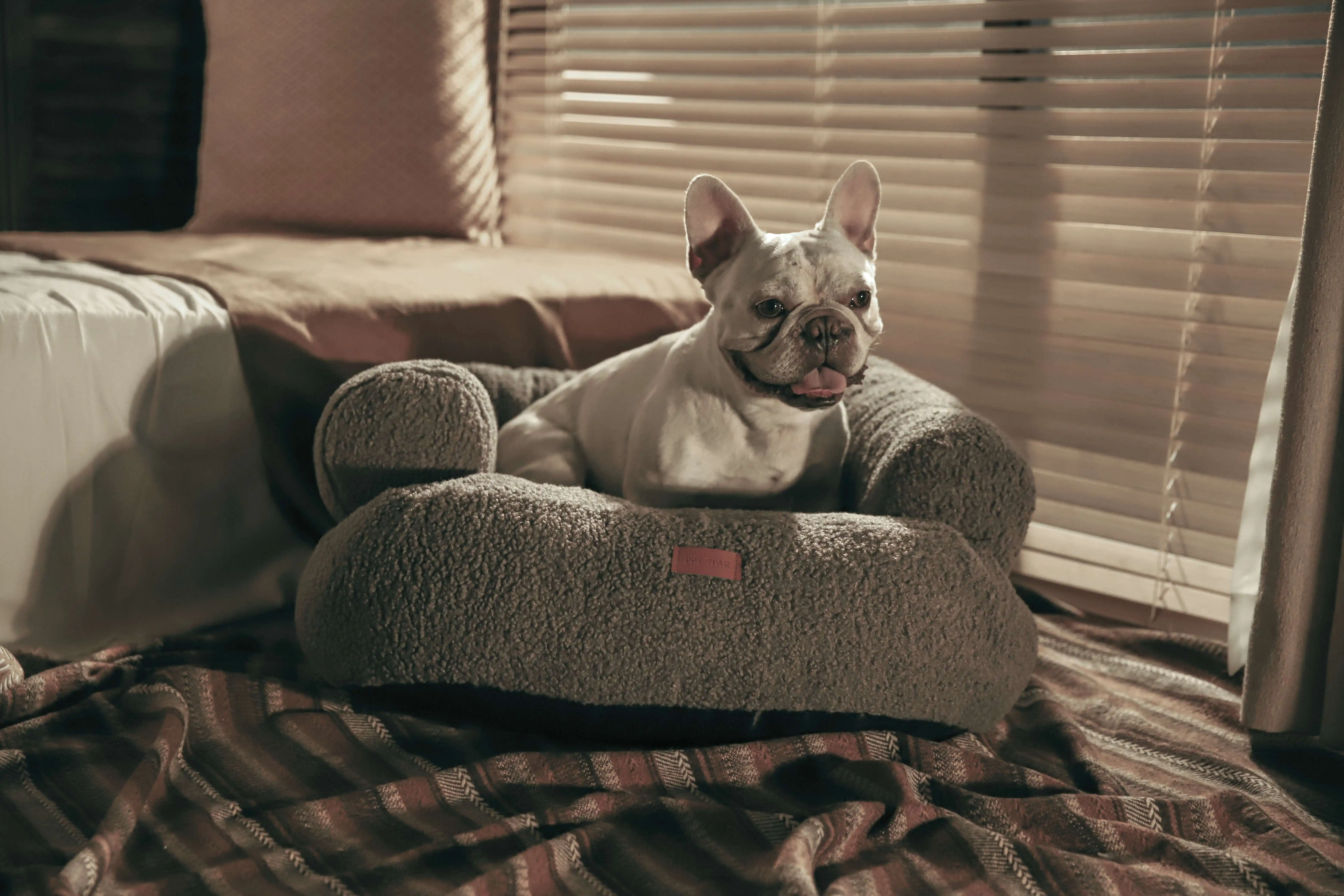Canapé-lit de luxe haut de gamme lavable, remplissage doux surélevé, traversin polaire pour chat et chien