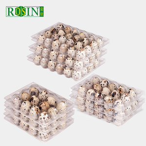 Quail Egg Carton 15 Holes Plastic Egg Tray mit Lid Clear Clamshell Disposable Wholesale Pet/pvc Blister Food 16.6*10.5*3.9cm