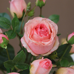 ช่อดอกกุหลาบประดิษฐ์ Ruilisi สีขาว สำหรับตกแต่งงานแต่งงานและบ้าน - Product Image 4