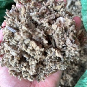 Foglie di Verbasco Selvatico Essiccate Naturali, Erba Tagliata di Verbascum Thapsus per Tisane - Product Image 3