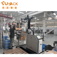 Sistema Paletizador Robótico Móvil Sin Barreras con Motor PLC y Caja de Cambios para Despliegue Flexible, Fácil Programación, Capacidad de 7-13 Cajas/min