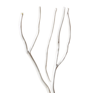 Ccc Willow Branches 25Cm <b>Reed</b> <b>Diffuser</b> Sticks For Home Decor - Product Image 5