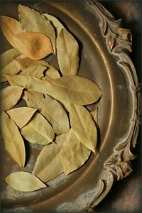 FAQ Feuille de laurier naturel AD Sacs en PP de 25kg séchés bruts Herbe d'épices de qualité moyenne pour l'exportation d'assaisonnement de l'industrie alimentaire - Product Image 4