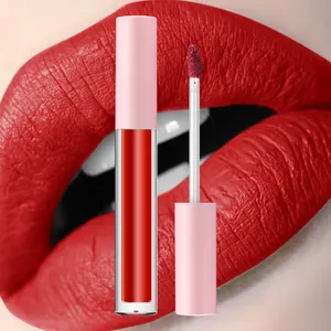 A311 Vegan Schönheit Make-Up Lippenstift Beste Verkauf Flüssigkeit Lippenstift Keine Label Lippenstift