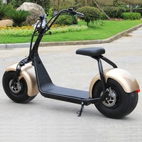 Pièces de scooter Citycoco, location, revente, accélérateur rotatif pour scooter électrique, guidon, vitesse rapide, vente chaude