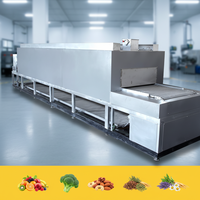 Machine automatique de séchage à bande de circulation d'air chaud Jujube Wolfberry Raisin Pruneaux Abricot Équipement de séchage