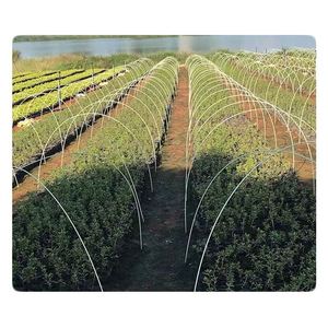 Frp ไฟเบอร์กลาสแบบแข็งใช้ซ้ำได้แข็งแรงใช้ซ้ำได้พร้อมจุดดินสอสำหรับรองรับมะเขือเทศ/แตงกวา - Product Image 6