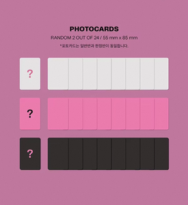 Stray Kids MAXIDENT 7º Mini Álbum Edición Estándar Oficial Original CD de Música Kpop Sellado con Photobook, Photocard y Sticker - Product Image 4
