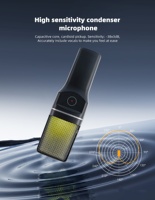 Microphone à condensateur sans fil rechargeable RGB 2.4G OEM d'usine, réduction de bruit, 48KHz/16bit, pour utilisation sur ordinateur, TikTok, YouTube
