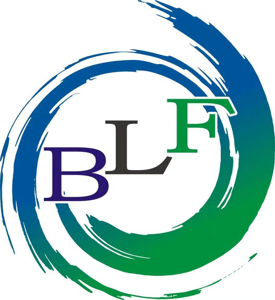 Shenzhen Baolifeng Precision Technology Development Co., Ltd.