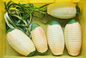 Pelapatate FXP-66s Papaya ananas <span class=keywords><strong>Peeling</strong></span> macchina pane cocco - Product Image 5