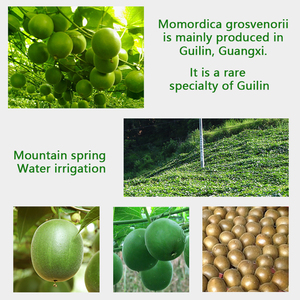 जैविक युवा नारियल सूखे कोपरा पूरे पल्प पानी का फल और ताजा शैली के निर्यात ग्रेड युवा नारियल - Product Image 3