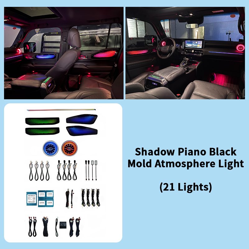 Ten Light Thousand Shadow-Piano Black (21 lumières)