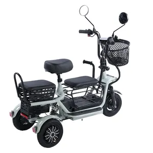 2024 Scooter elétrico 400W 48V 20ah Bateria de lítio Moto de velocidade rápida 24km/h para adulto