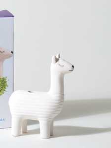 Vendita di fabbrica certificato Sedex graines de chia bio garden grow kit <span class=keywords><strong>fai</strong></span> <span class=keywords><strong>da</strong></span> <span class=keywords><strong>te</strong></span> lama per chia pet fioriera vasi carini per piante regalo - Product Image 2