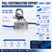 Module de protection et d'équilibrage actif de batterie ANT Smart BMS série 10-32S, 120A de pointe, 300A, carte PCB