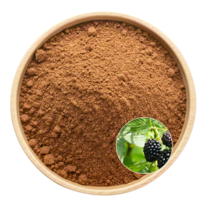 Organic Vegan HALAL KOSHER Certified Mulberry Leaf Extract Full Category Customization Branding Service - Product Image 2