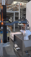 Machine à déchirer les sacs, Système de déchargement de sacs, Robot articulé, Alimentateur automatique pour granulés PP/PE. 25-200 kg/sac, 80-120 sacs/h