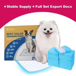 Precio Competitivo de Fábrica, Almohadillas Superabsorbentes de Secado Rápido para Perros, 45x60cm, Paquetes Desechables al por Mayor, Listas para Enviar, Oferta de Stock - Product Image 1