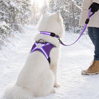 Harnais tactique LED Qcool pour animaux de compagnie avec collier et laisse réglable, visible la nuit, pour la promenade en extérieur, ensemble 3 pièces