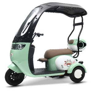 Nuevo Estilo, Hecho en China, Scooter de Alta Calidad, Triciclo de Gran Espacio, Triciclo de Tres Ruedas con Neumáticos Anchos y Techo - Product Image 5