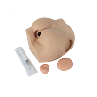 Simulation des fesses, appareil d'entraînement musculaire pour adulte, pratique médicale, hanche, mannequin
