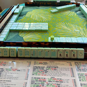 Juego de Fichas de Mahjong Americanas de Acrílico Azul <span class=keywords><strong>Coral</strong></span>, Modernas, Plegables, para 4 Jugadores, Diseño de Lujo Premium, Portátiles, para <span class=keywords><strong>Casino</strong></span> - Product Image 5