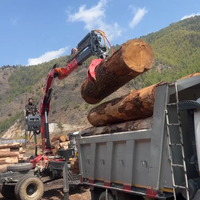 Grue forestière à bras articulé 6T 10T montée sur camion, remorque à grappin pour bois avec griffes pour la manutention de matériaux