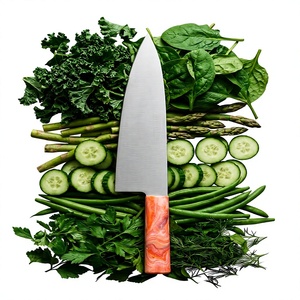 Couteau de chef artisanal en acier inoxydable avec manche en résine et étui en cuir, couteau d'extérieur - Product Image 1