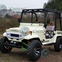 Buggy tout-terrain 4x4 électrique/essence 320cc/350cc à transmission automatique, couleur personnalisée, mini jeep buggy, haute vitesse, tout-terrain