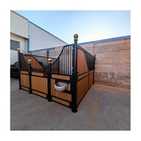Vente d'équipement d'écurie préfabriqué pour l'extérieur Étable à chevaux luxueuse de haute qualité de style européen à structure métallique remplie de bambou