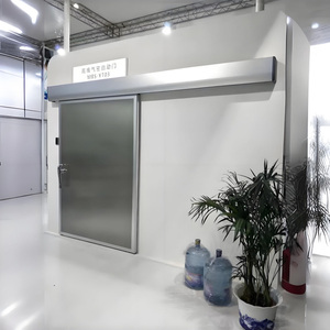 <span class=keywords><strong>Puertas</strong></span> Corredizas Automáticas Herméticas de Acero Inoxidable y Nylon con Tecnología Alemana Moderna para Quirófanos de Hospitales - Product Image 4