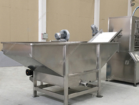Machine industrielle multifonctionnelle en acier inoxydable SUS304 pour le lavage et le nettoyage des tomates par bulles, facile à utiliser