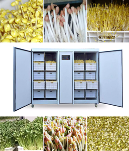 Sprouter automatico di soia a ciclo di produzione breve - Product Image 6