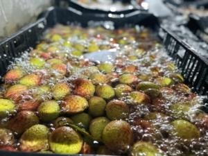 Lychees Biologiques Congelés du Vietnam, Conservés dans l'Eau, Emballage Sous Vide, Vente en Gros, Exportateur - Product Image 4